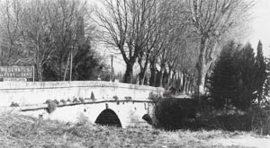Pont.JPG (20620 octets)
