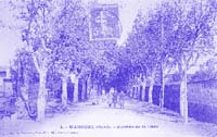 avenue_bleu.jpg (15462 octets)