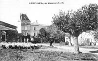 campuget_1_l.jpg (12411 octets)