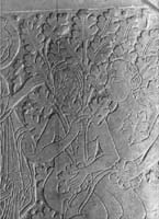 Adam1.jpg (13128 octets)